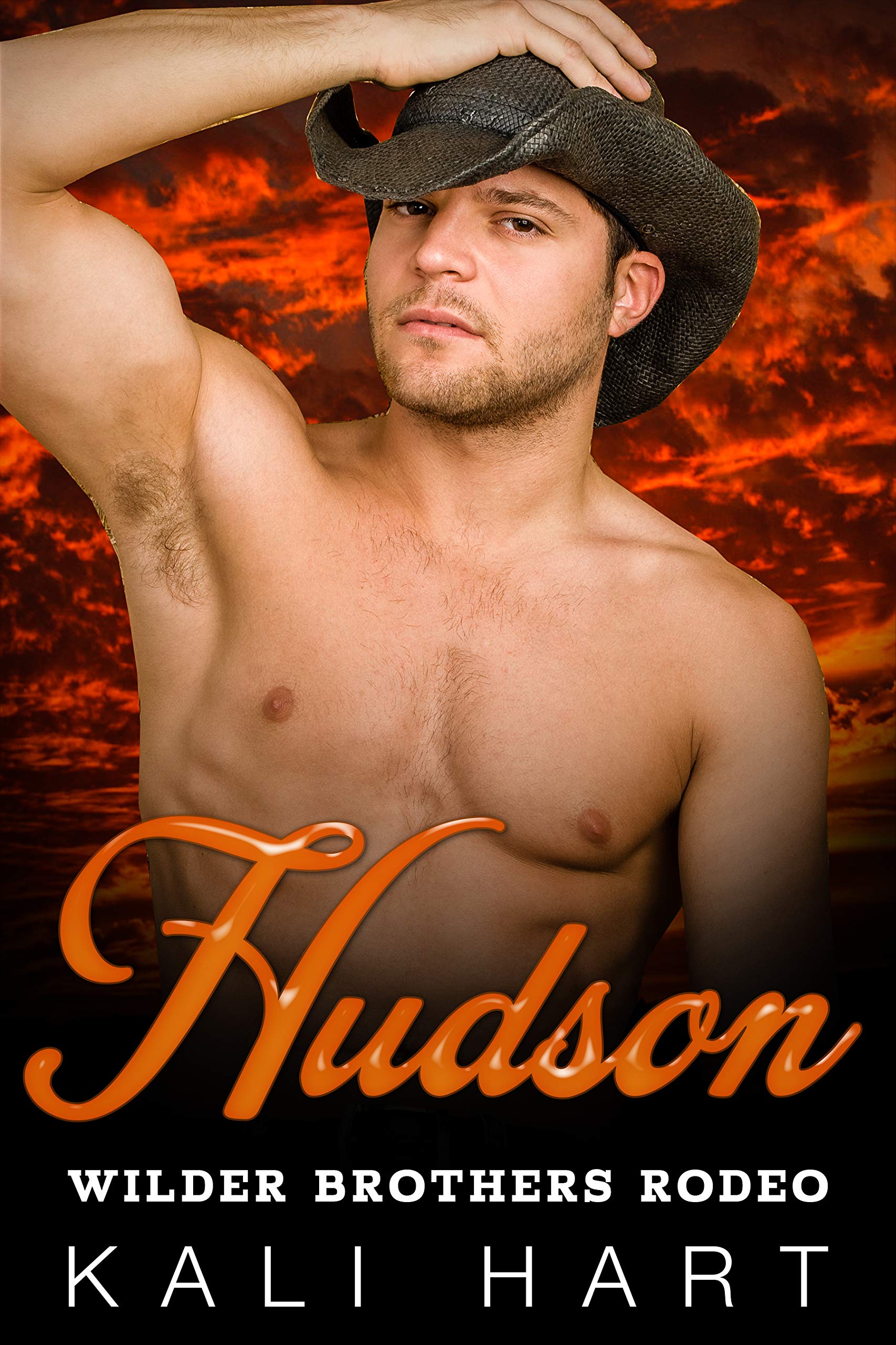 Wilder Brothers Rodeo book cover 2