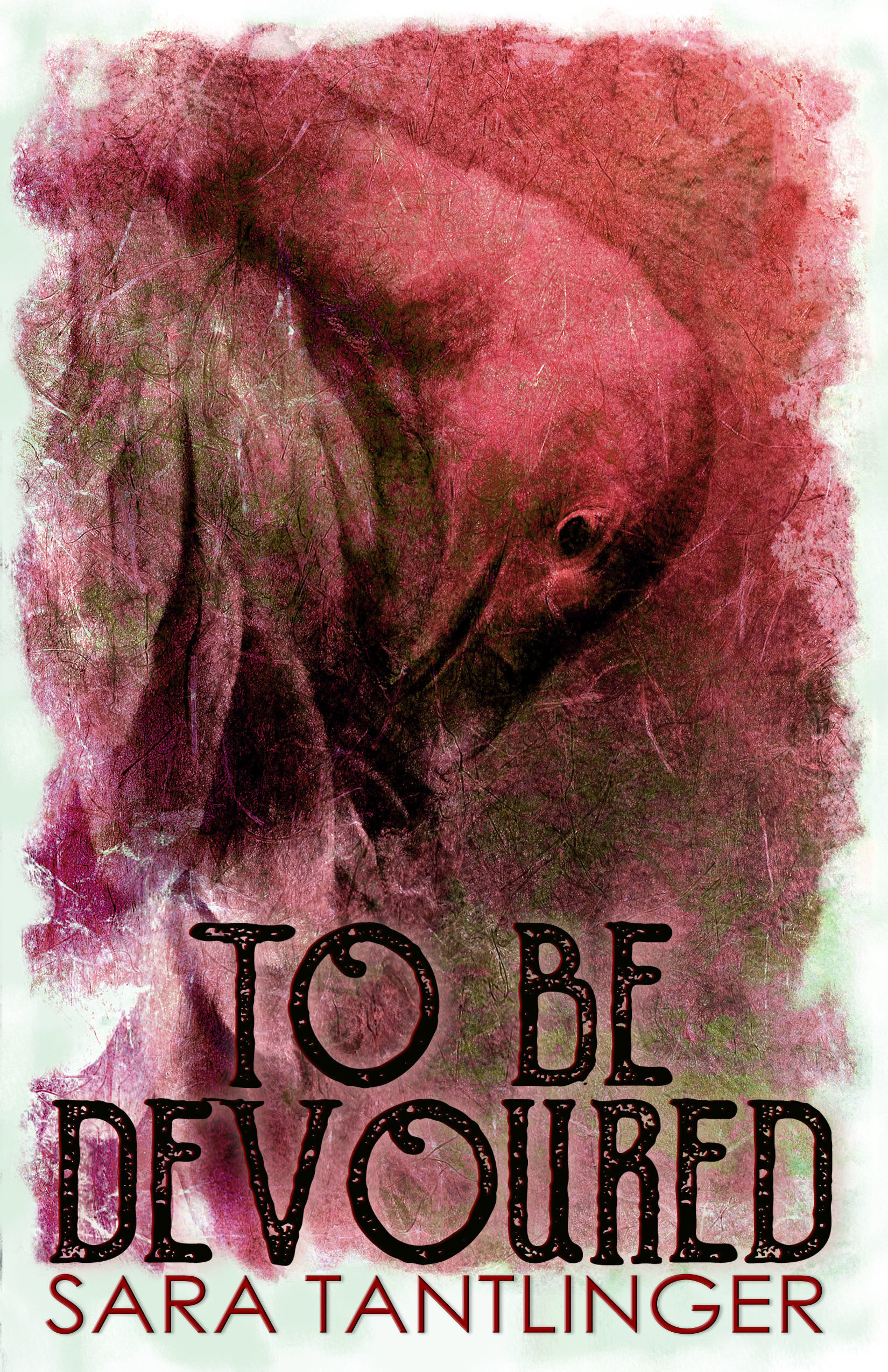To Be Devoured book cover