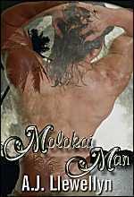 Molokai Man book cover