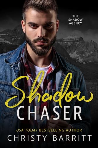 The Shadow Agency book cover 2