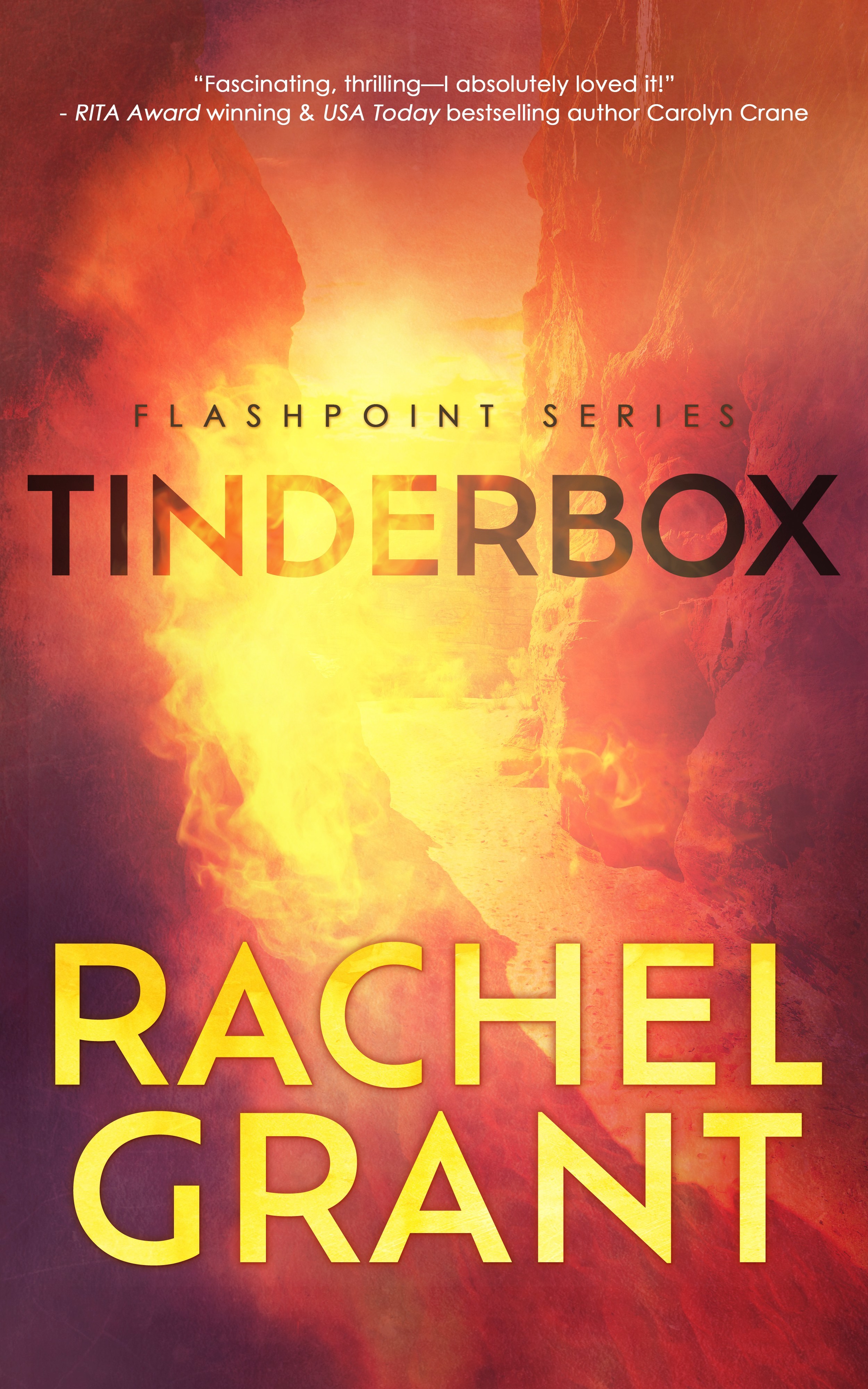 Flashpoint book cover 1