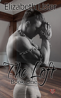 The Loft Trilogy book cover 1