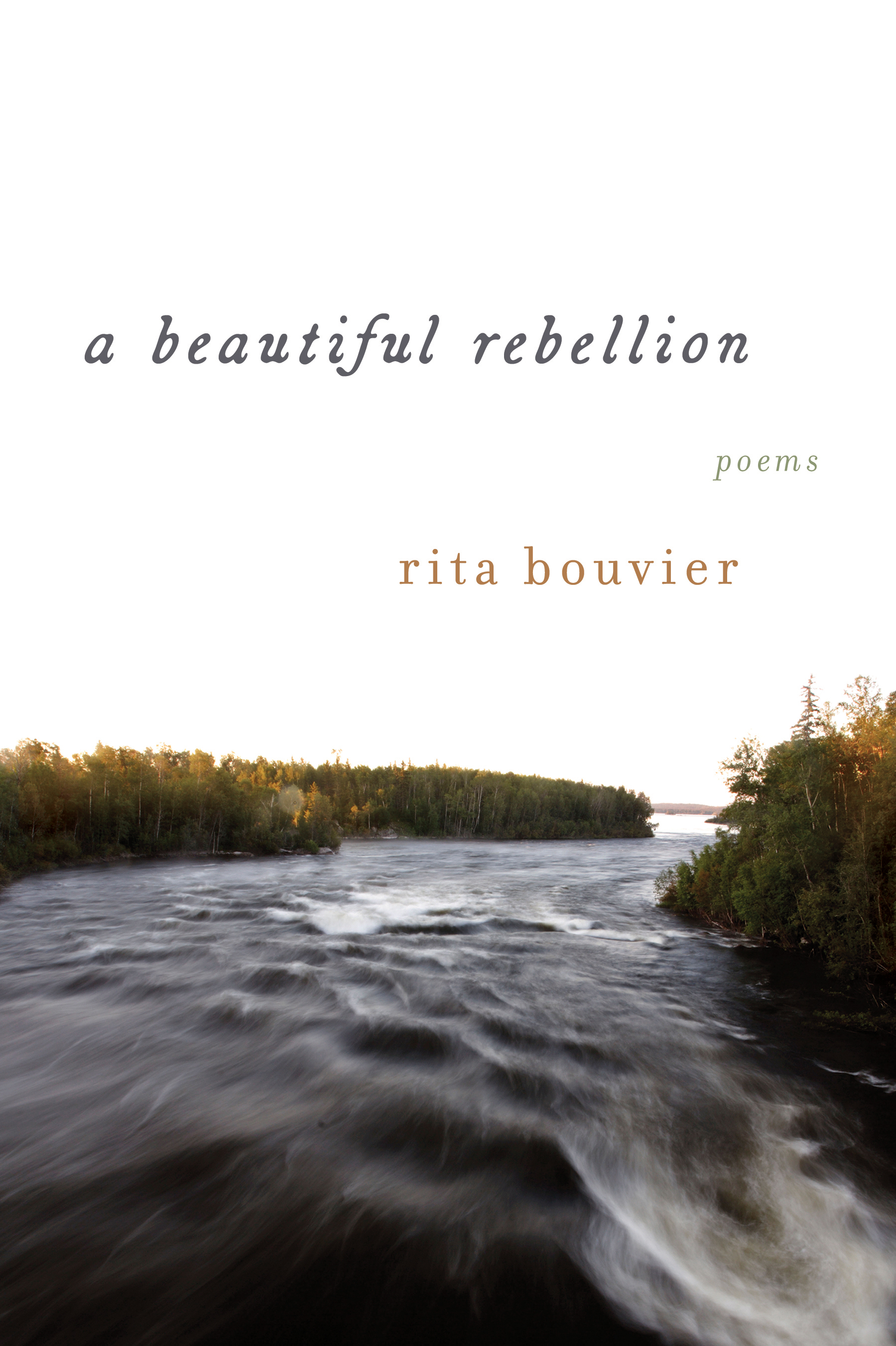 a beautiful rebellion book cover