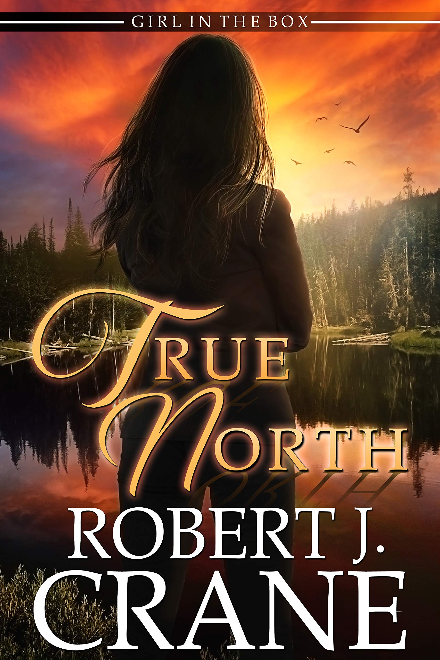 True North book cover