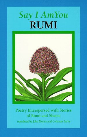 Say I Am You book cover