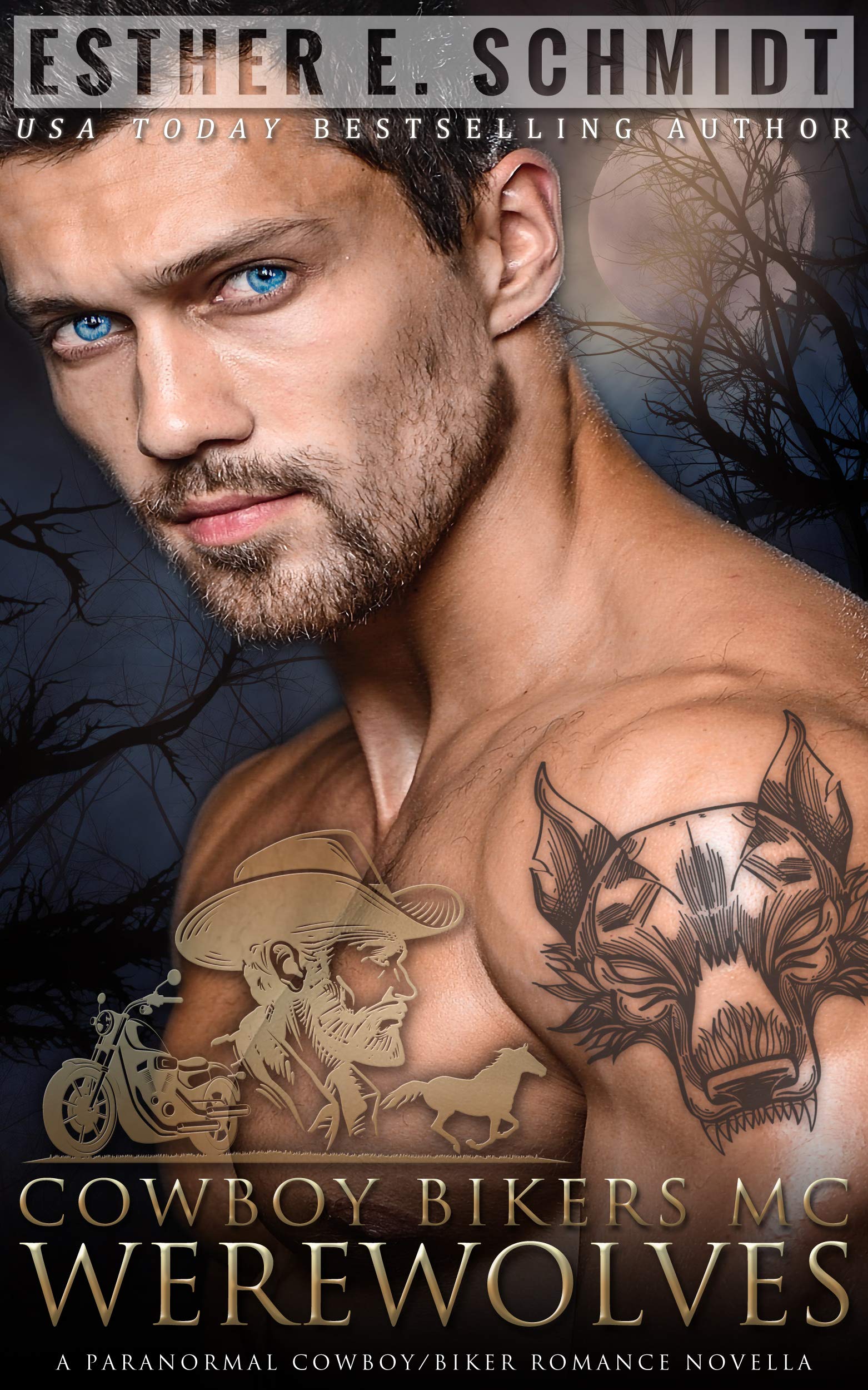 Cowboy Bikers MC book cover