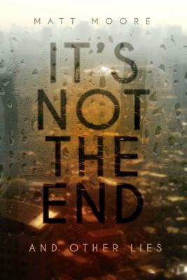 It's Not The End and Other Lies book cover