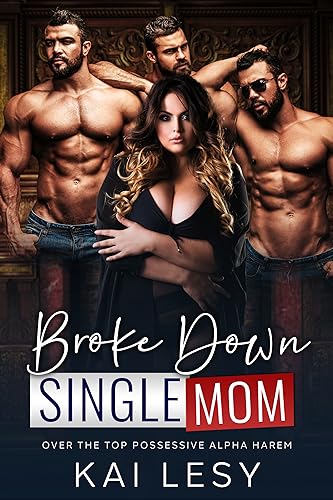 Broke Down Single Mom book cover