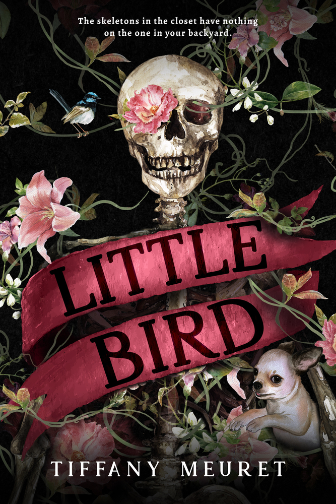 Little Bird book cover