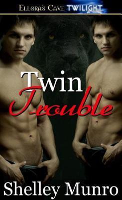Twin Trouble book cover