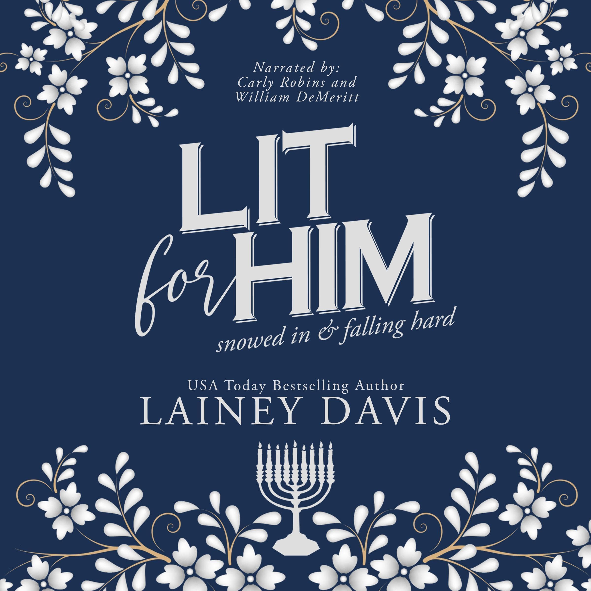 Lit for Him book cover