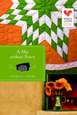 A Sky Without Stars book cover