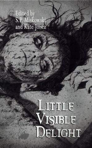Little Visible Delight book cover