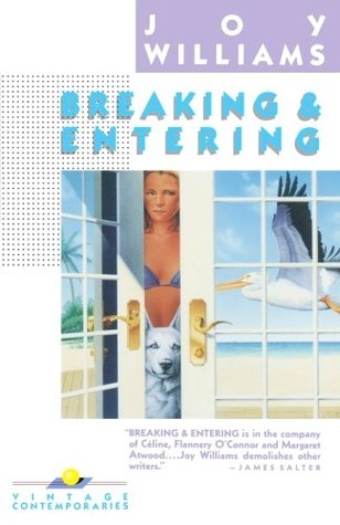 Breaking and Entering book cover