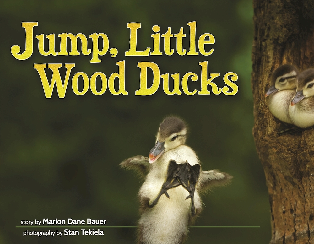 Jump, Little Wood Ducks book cover