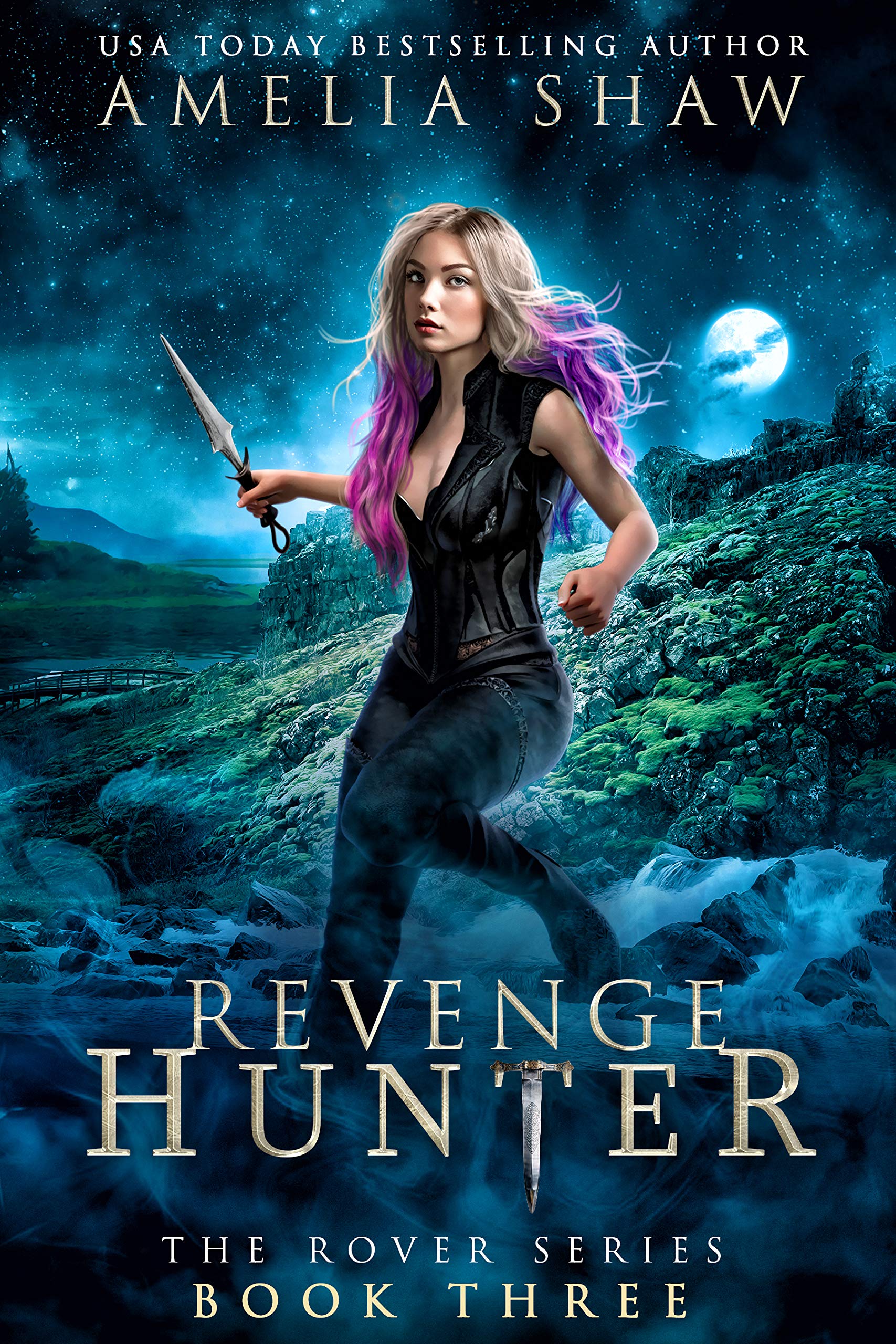 The Rover book cover 3