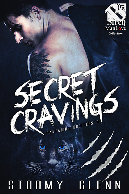 Pantarius Brothers book cover 1