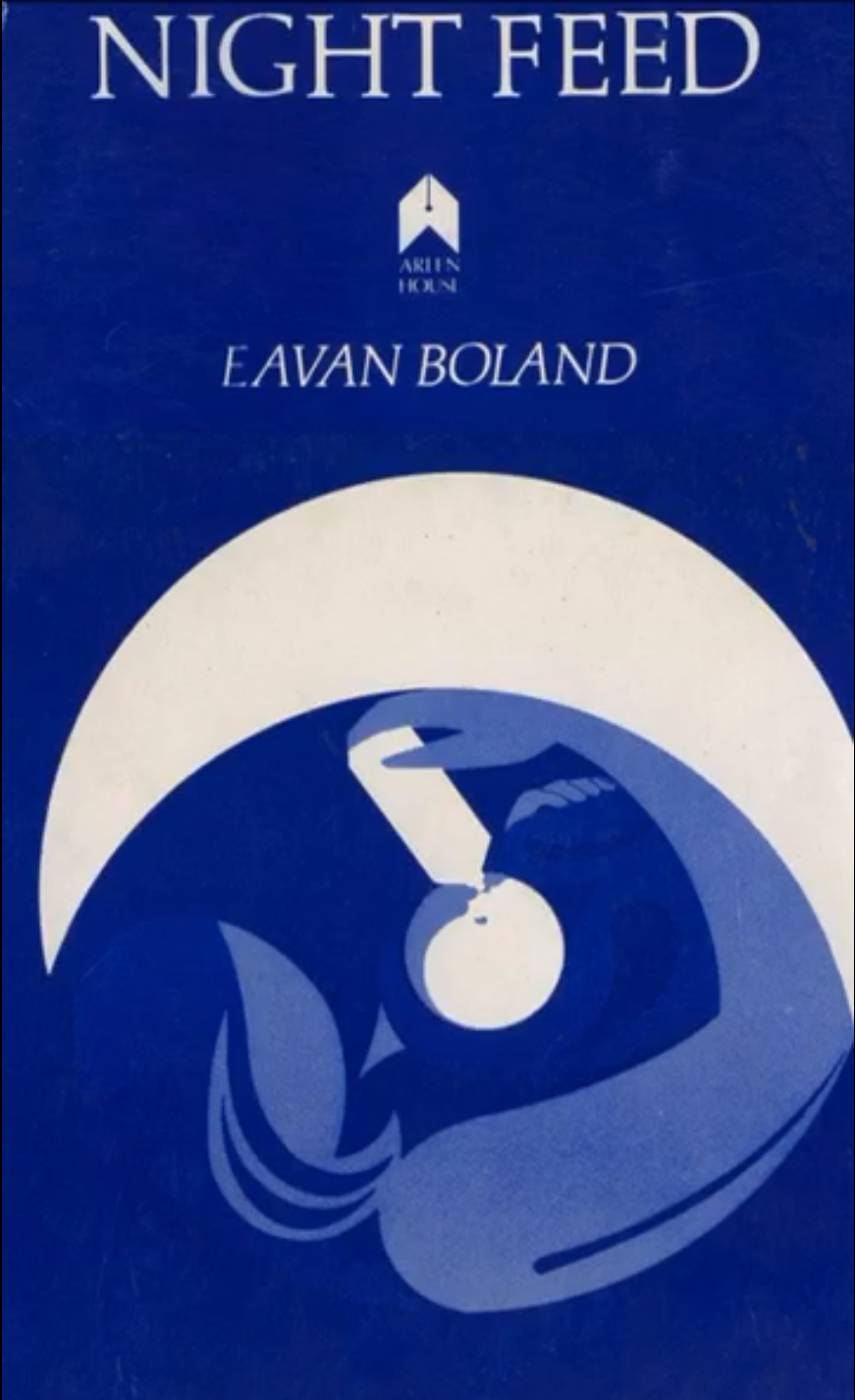 Night Feed book cover