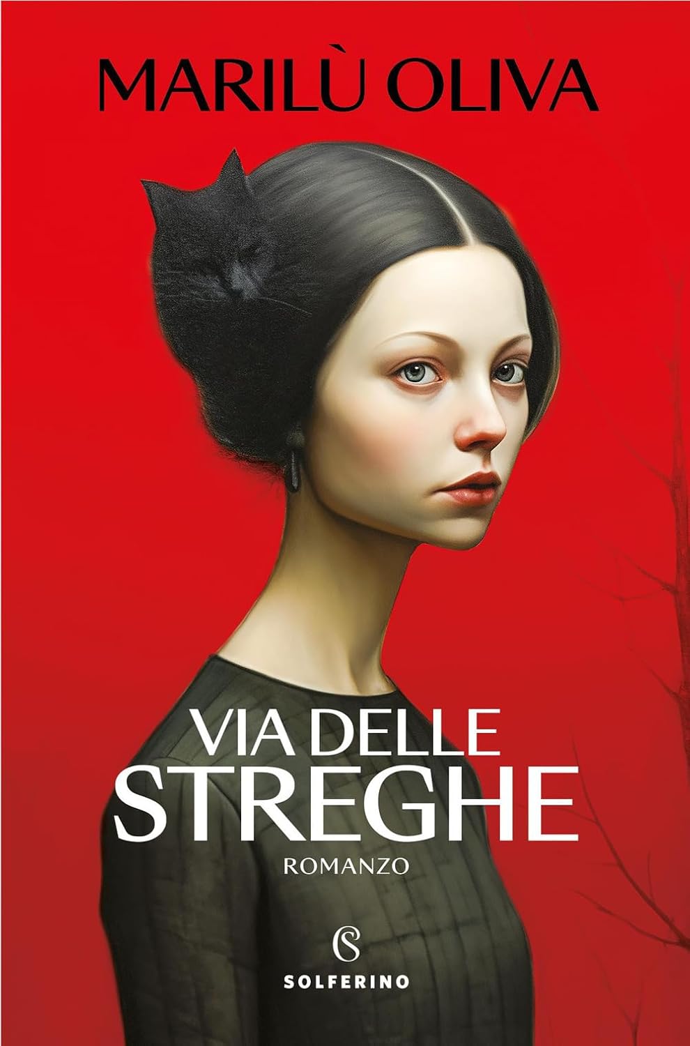 Via delle streghe book cover