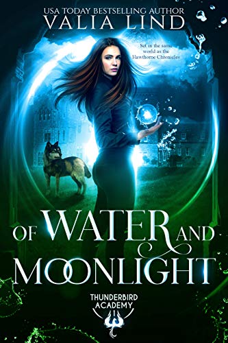 Thunderbird Academy book cover 1