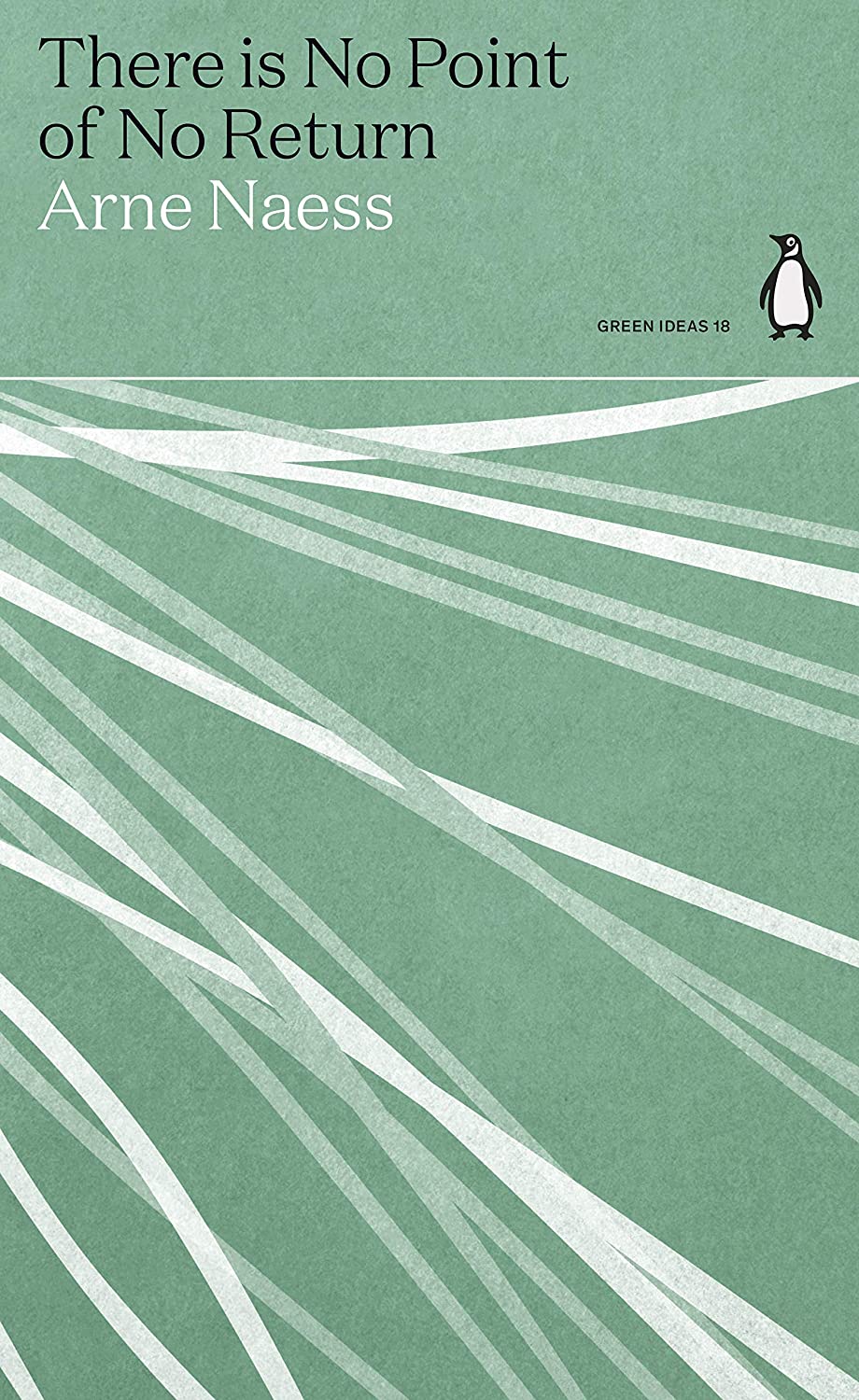 There is No Point of No Return book cover
