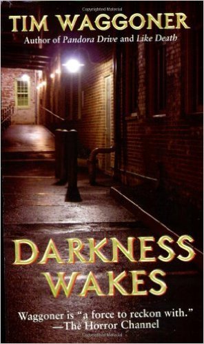 Darkness Wakes book cover
