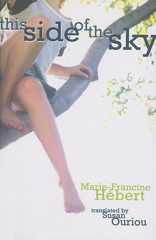 Le ciel tombe à côté book cover