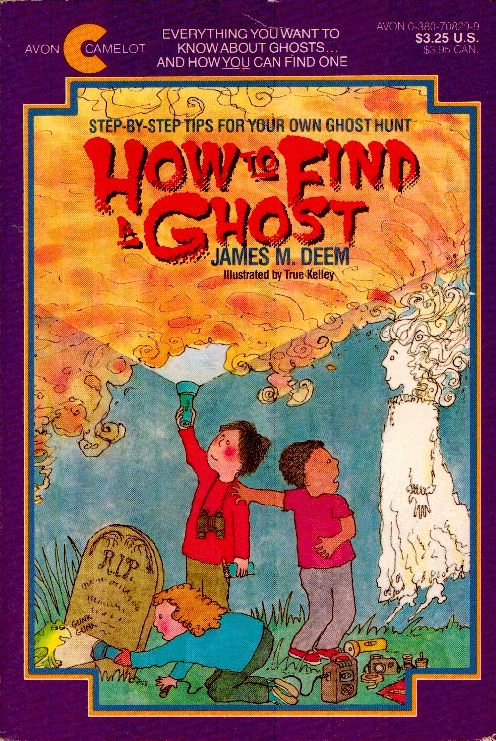 How to Find a Ghost book cover