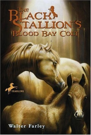 The Black Stallion's Blood Bay Colt book cover