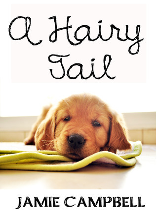 A Hairy Tail book cover 1