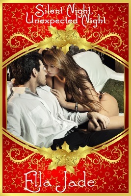 Silent Night, Unexpected Night book cover