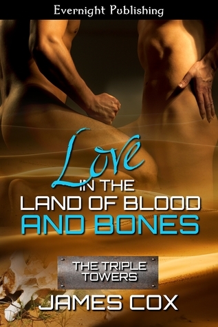 The Triple Towers book cover 2
