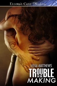 Trouble in the Making book cover