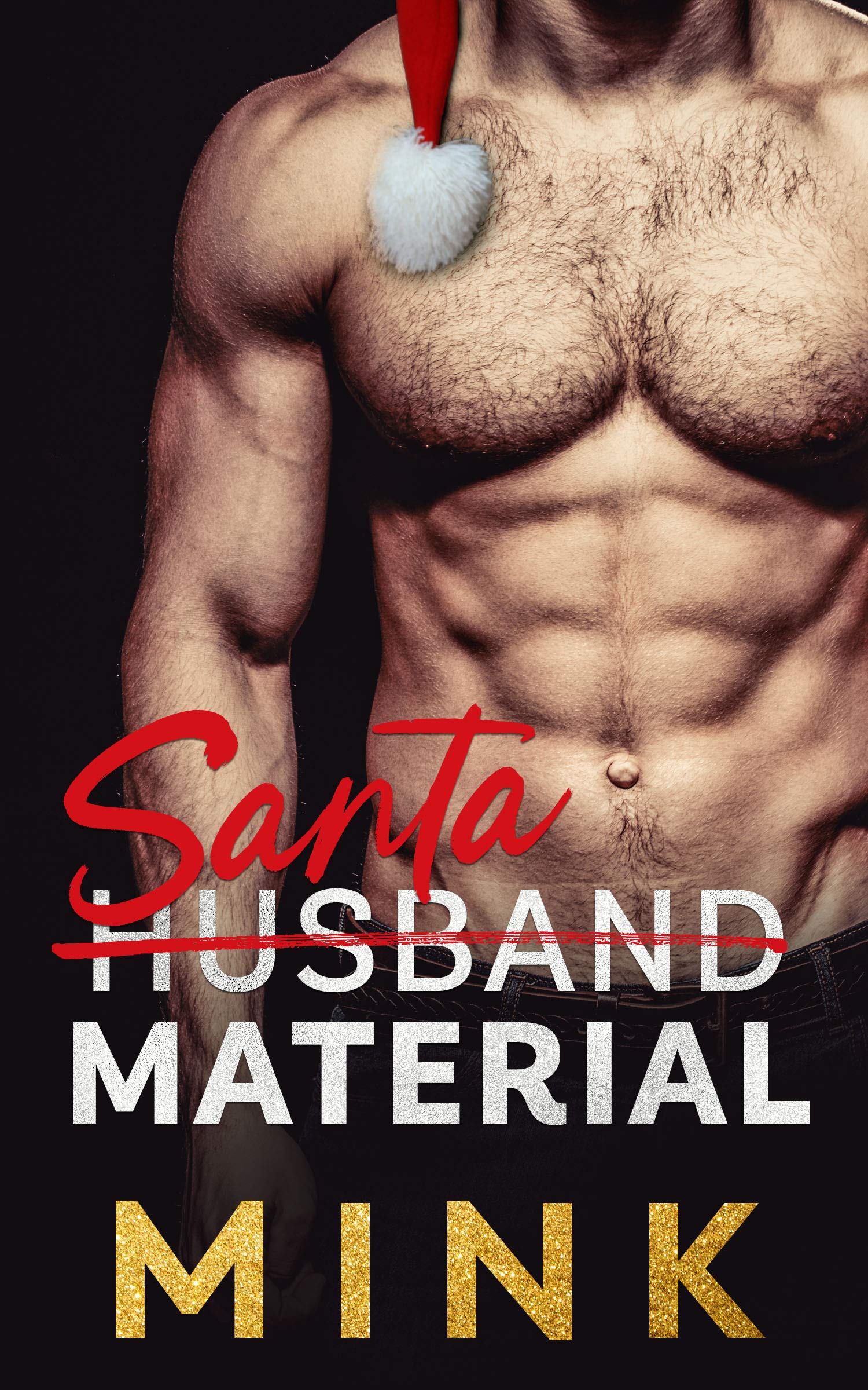 Santa Material book cover
