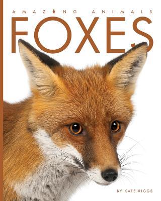 Foxes book cover
