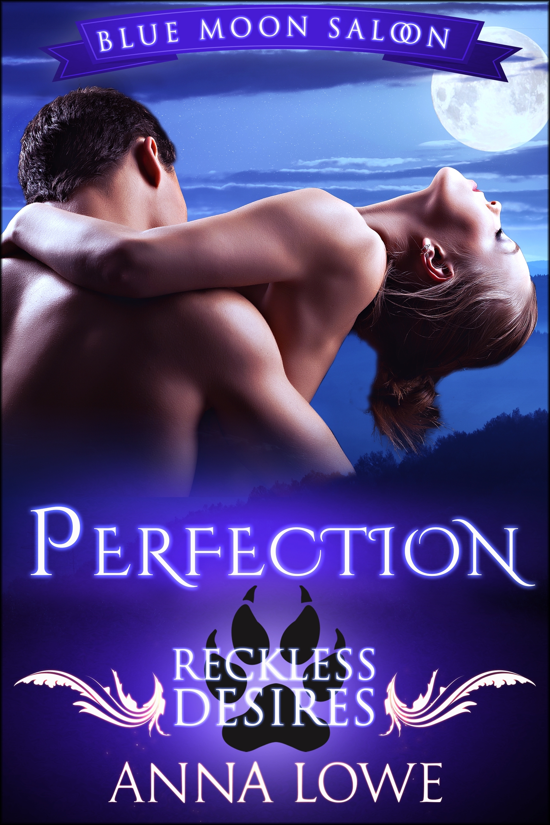 Perfection book cover