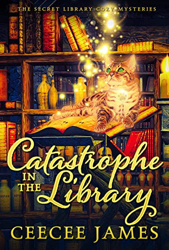 Secret Library book cover 3