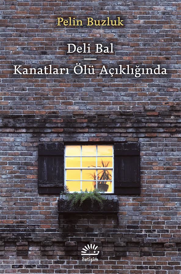 Deli Bal - Kanatları Ölü Açıklığında book cover