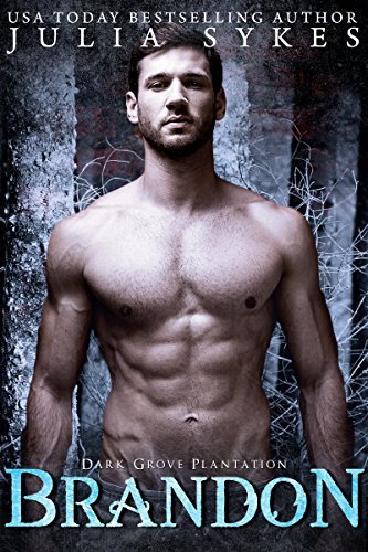Dark Grove Plantation book cover 2