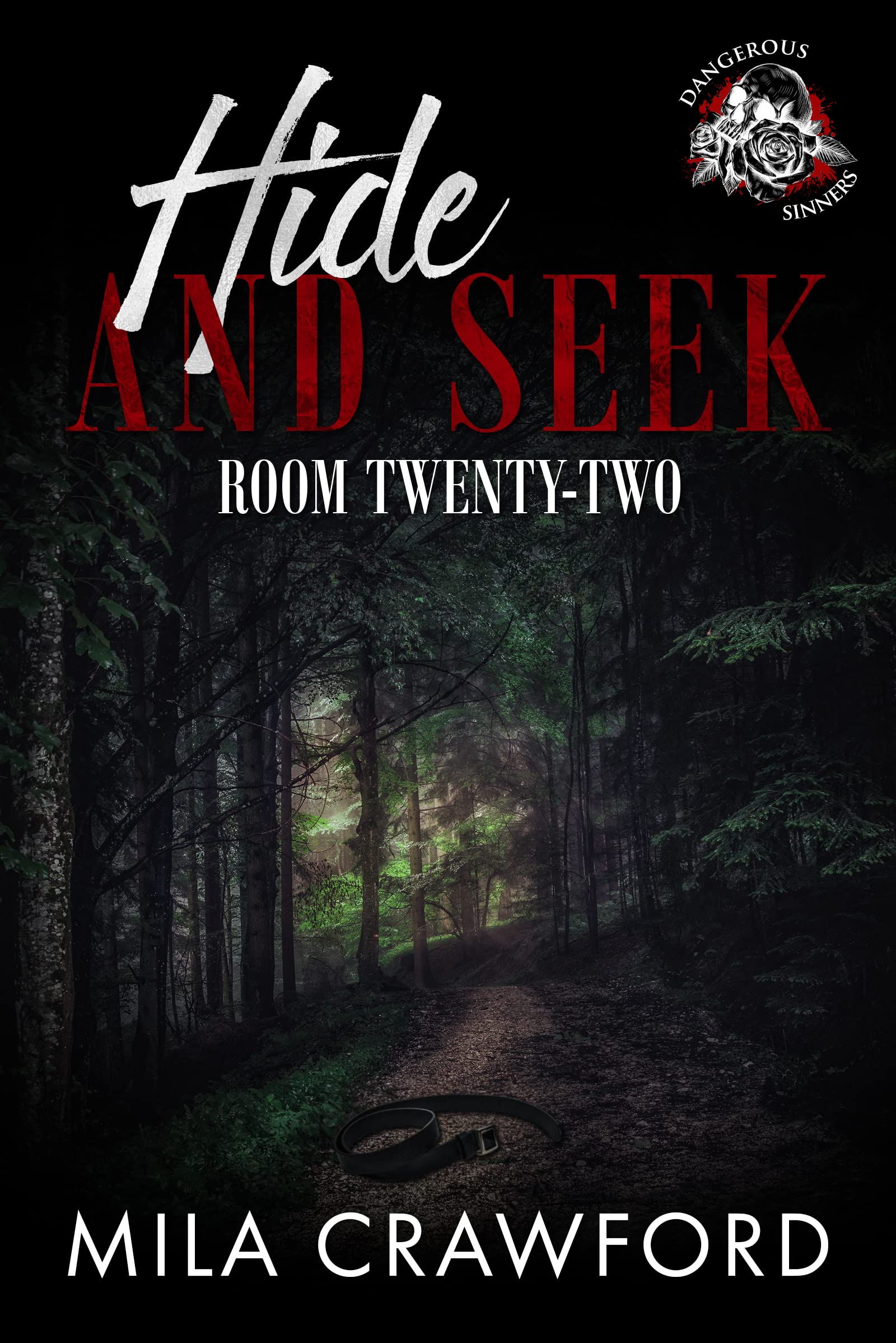 Hide And Seek book cover