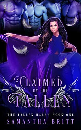 Fallen Harem book cover 1