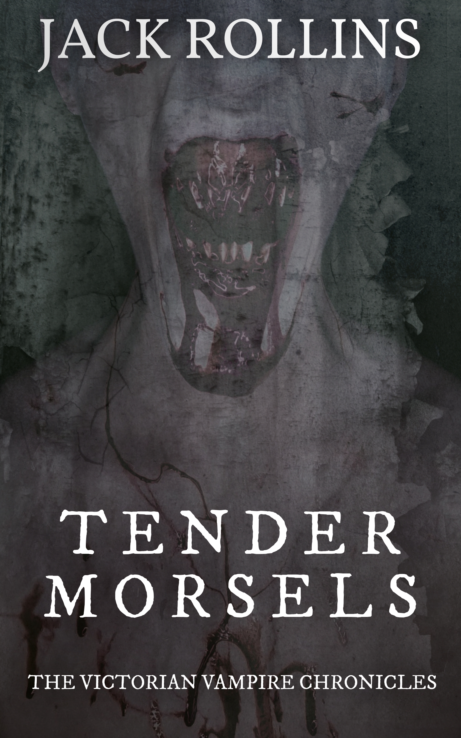 Victorian Vampire Chronicles book cover 2