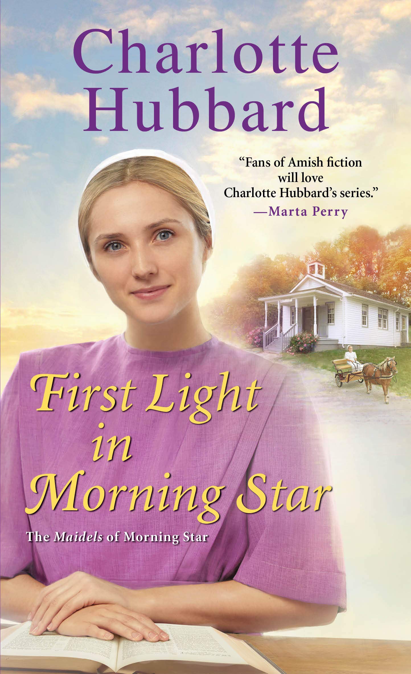 Maidels of Morning Star book cover 2
