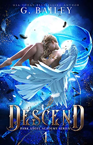 Dark Angel Academy book cover 1
