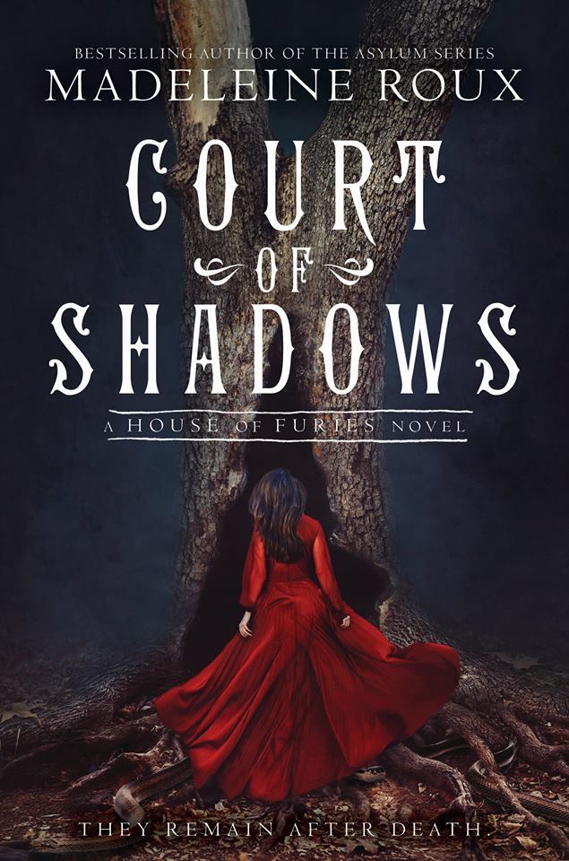House of Furies book cover 2