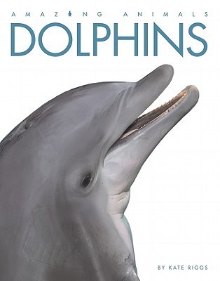 Dolphins book cover