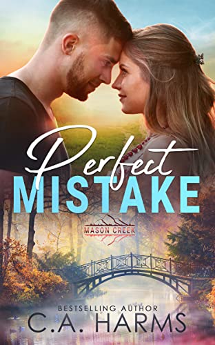 Perfect Mistake book cover