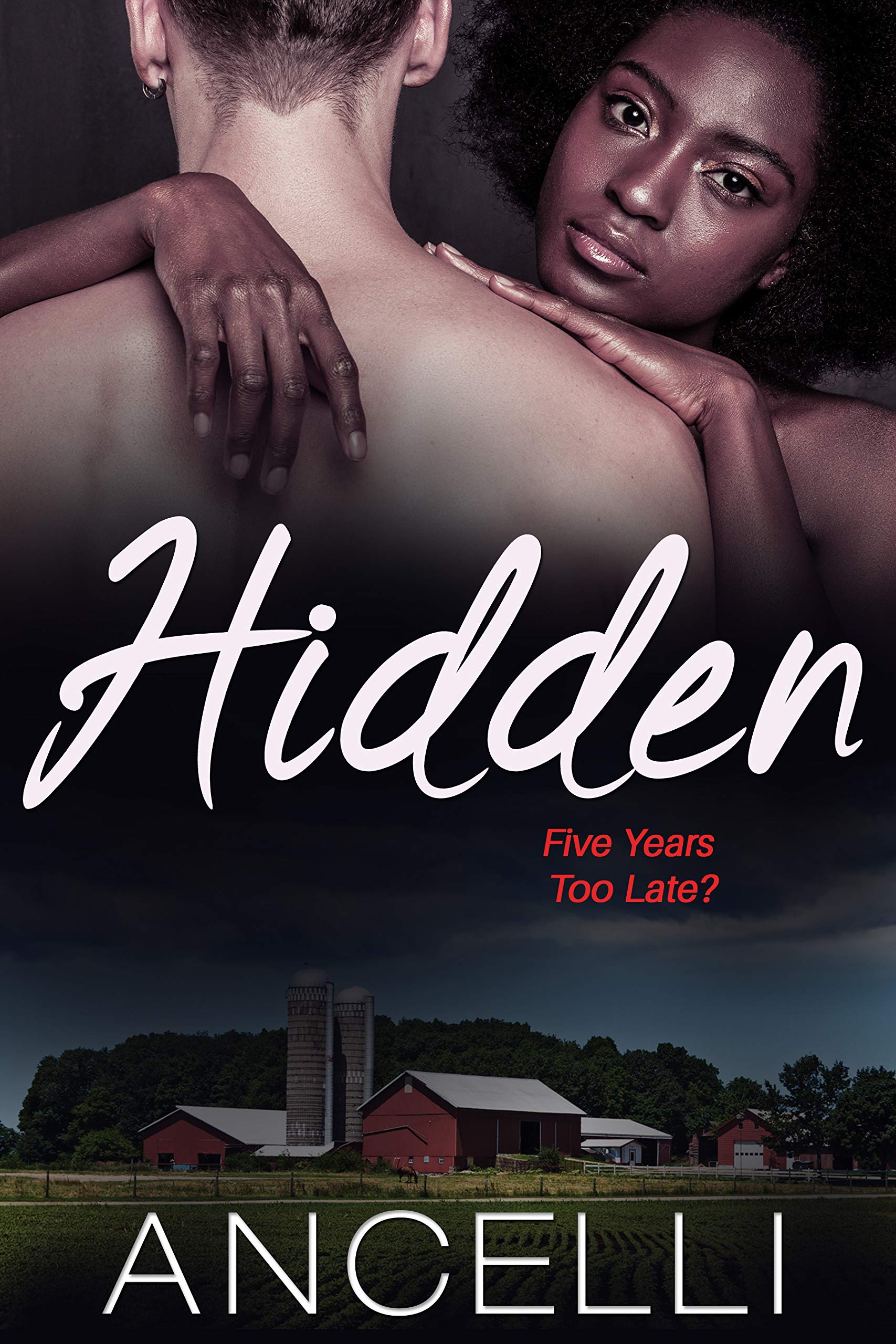 Hidden book cover