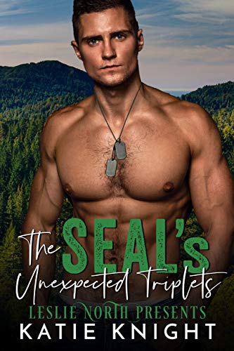 SEAL’s Babies book cover 1
