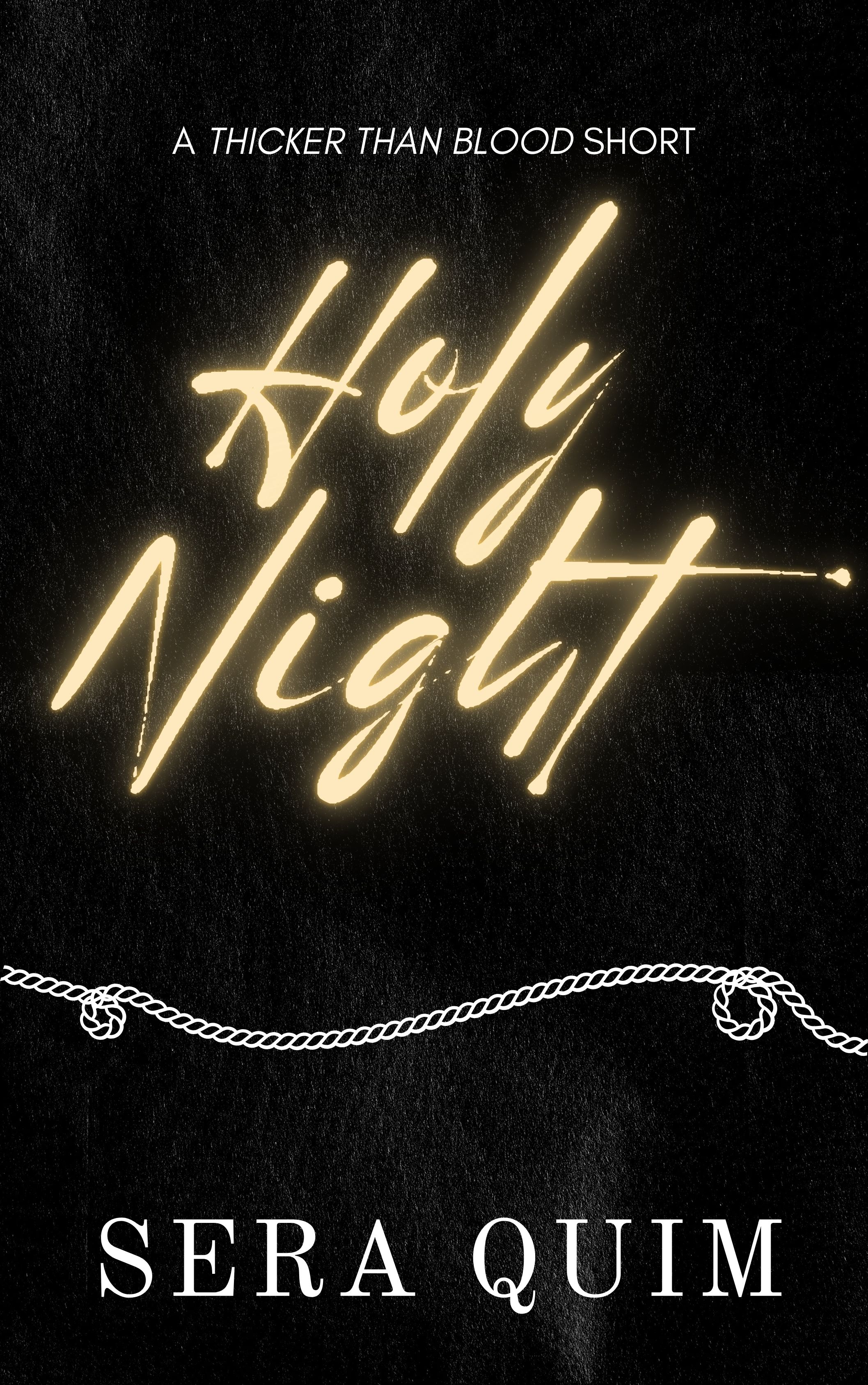 Holy Night book cover